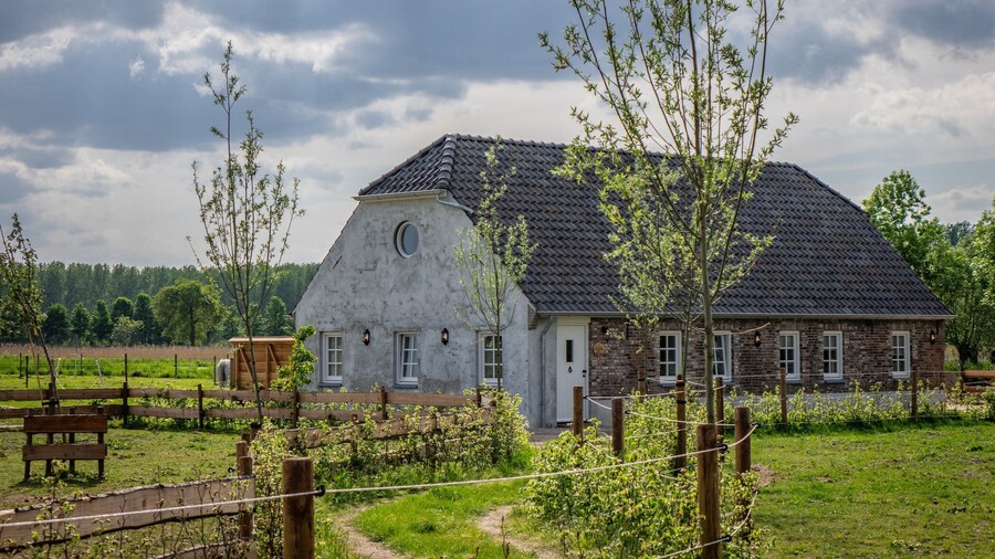 Holiday Home in Sint-oedenrode With Terrace