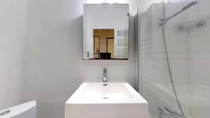 A modern bathroom with a white sink, a mirror, and a glass shower enclosure. - TIGER ROOM - Studio Gailleton Place Bellecour (Lyon)