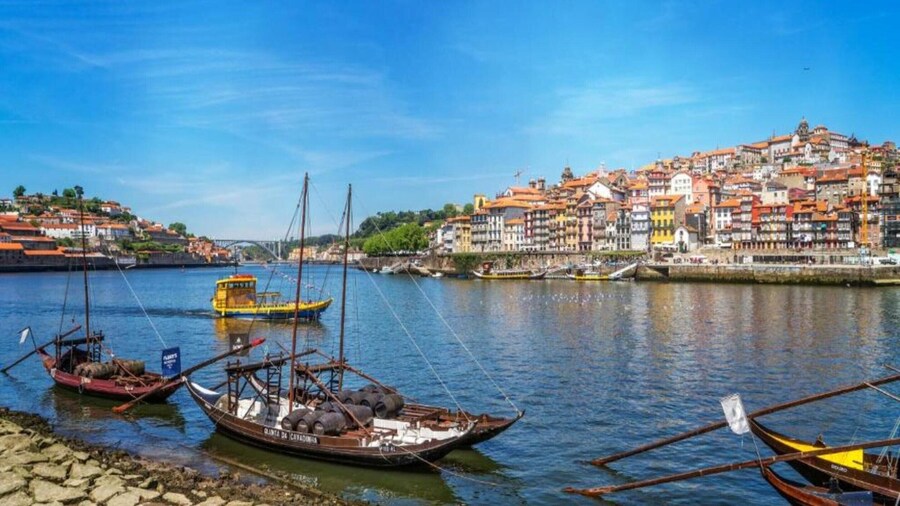 Cozy Pet-friendly Porto Apartment