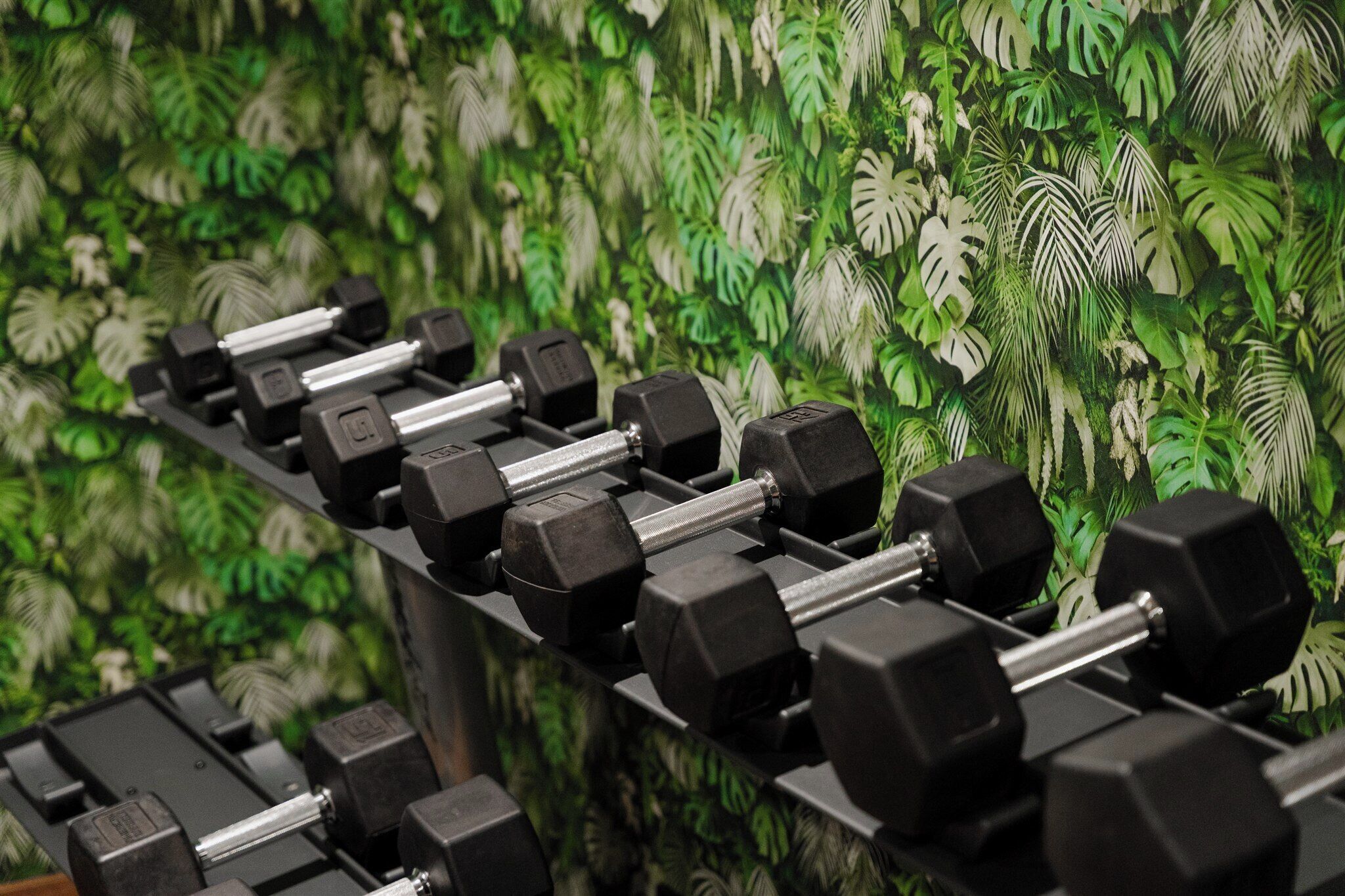 A row of black dumbbells on a rack against a wall with a green leafy pattern.
