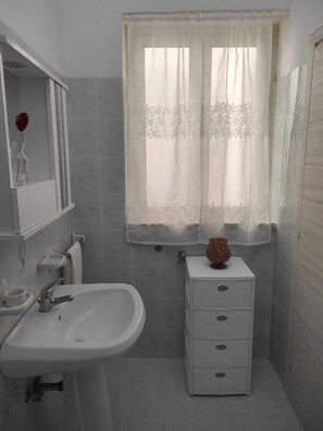 Ducha, secador de pelo, bidé y toallas