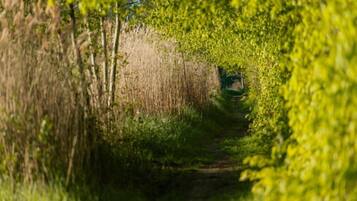 Mobile Home | Pemandangan dari hartanah