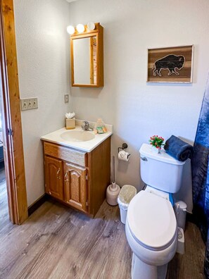 Sèche-cheveux, serviettes fournies