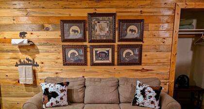 Cozy Cabin 1 Block to Lake/In Town/Hummingbird