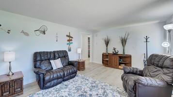 TV, fireplace, books