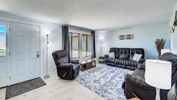 TV, fireplace, books