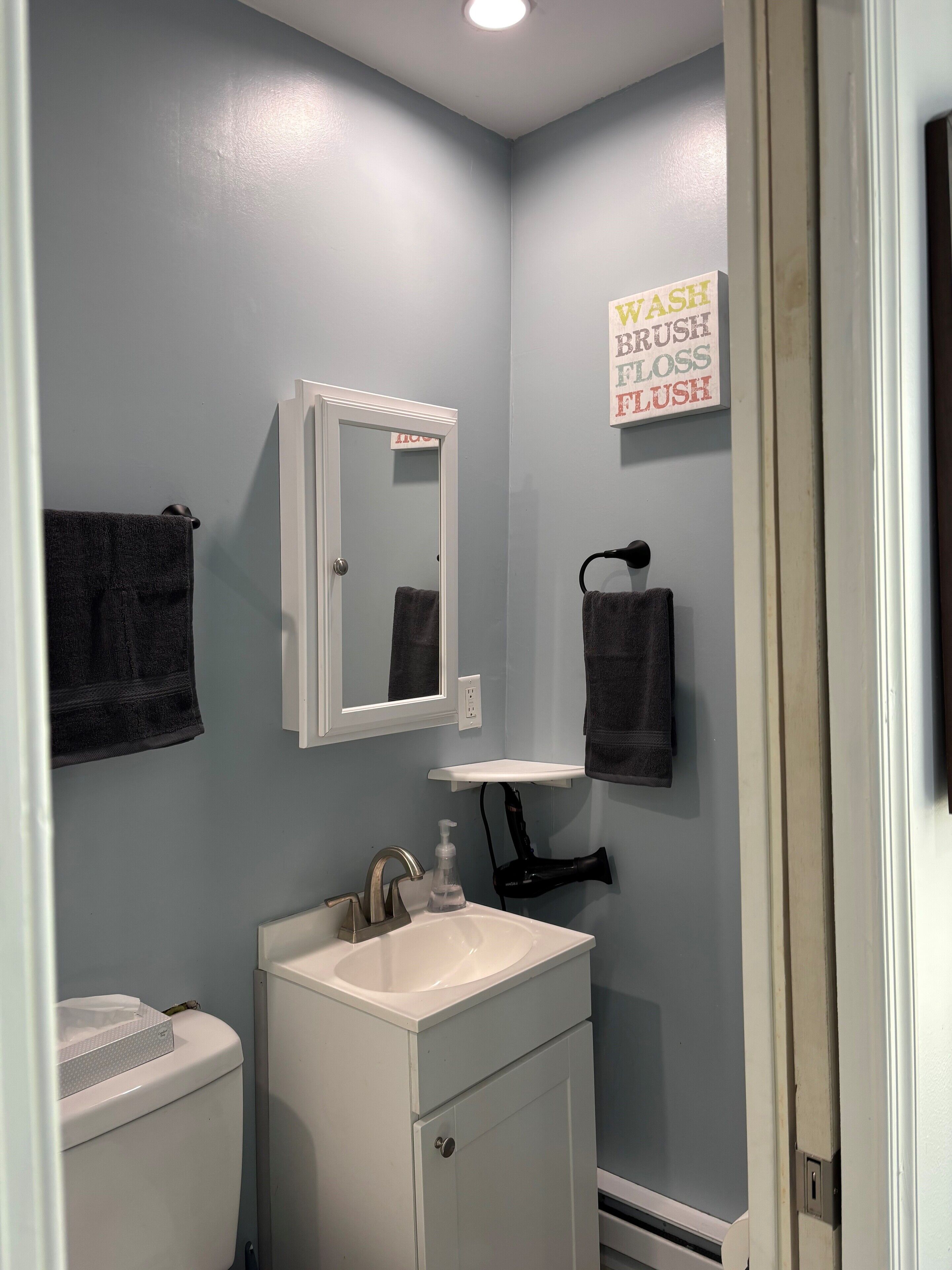 シャワー、ヘアドライヤー、タオル、トイレットペーパー