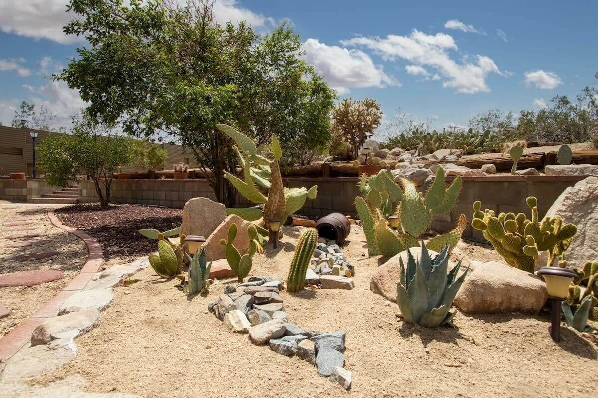 Un jardín desértico con diversos cactus y suculentas, senderos de piedra y un gran árbol.