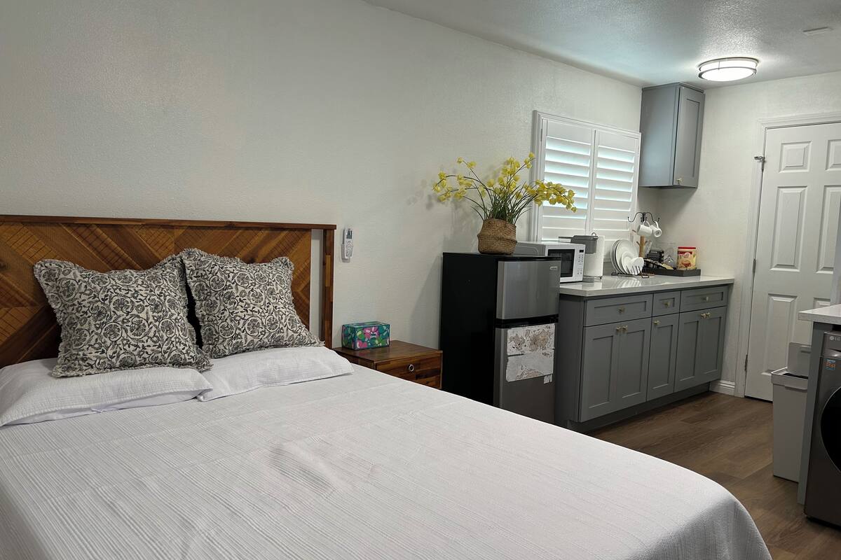 A bedroom with a bed, two patterned pillows, a nightstand, a small table with a box, a refrigerator, a microwave, a sink, and a door.