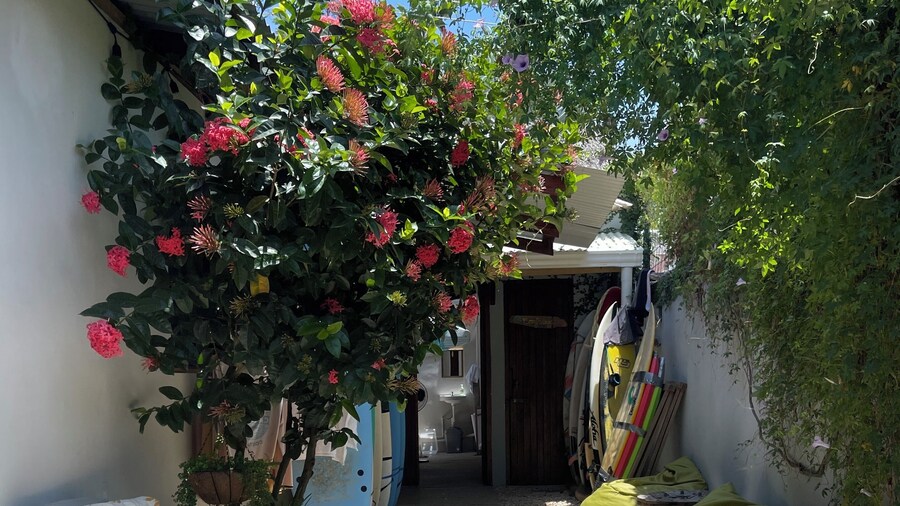 The Cafecito Surf School & Guesthouse