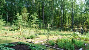 Ein Garten mit erhöhten Beeten, einem Holzzaun und verschiedenen Pflanzen.