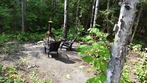 A forested area with a bench and a bird feeder.