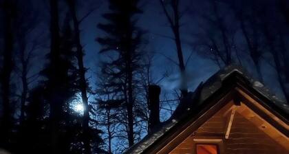 Mini chalet Le Tourne-Bille, authentic log construction.