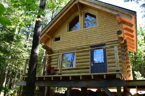 Mini chalet Le Tourne-Bille, authentic log construction.