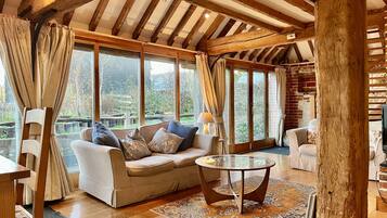 Smart TV, fireplace, books