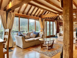 Smart TV, fireplace, books