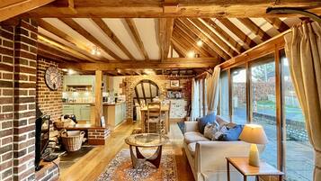 TV connectée, cheminée, livres