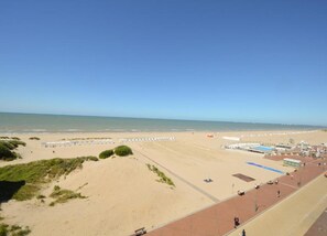 Une plage avec une longue étendue de sable, quelques petits buissons et un ciel bleu dégagé.