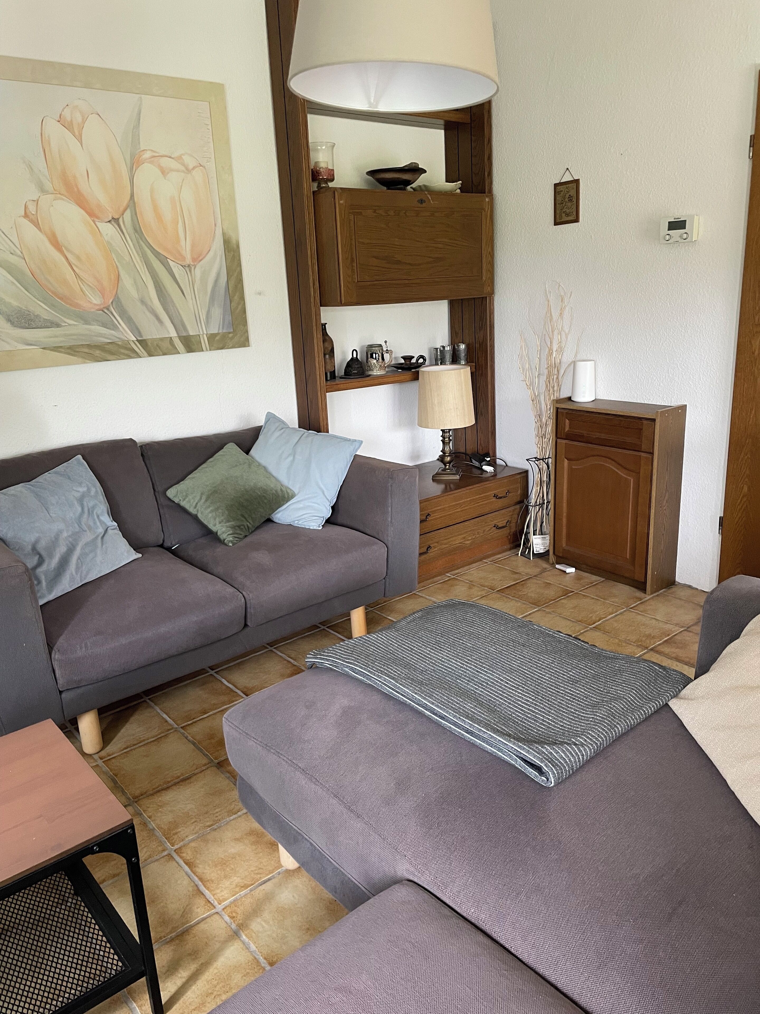A living room with a grey sofa, a patterned rug, a wooden cabinet, and a painting of tulips on the wall.