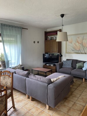 Smart TV, DVD player, books, stereo