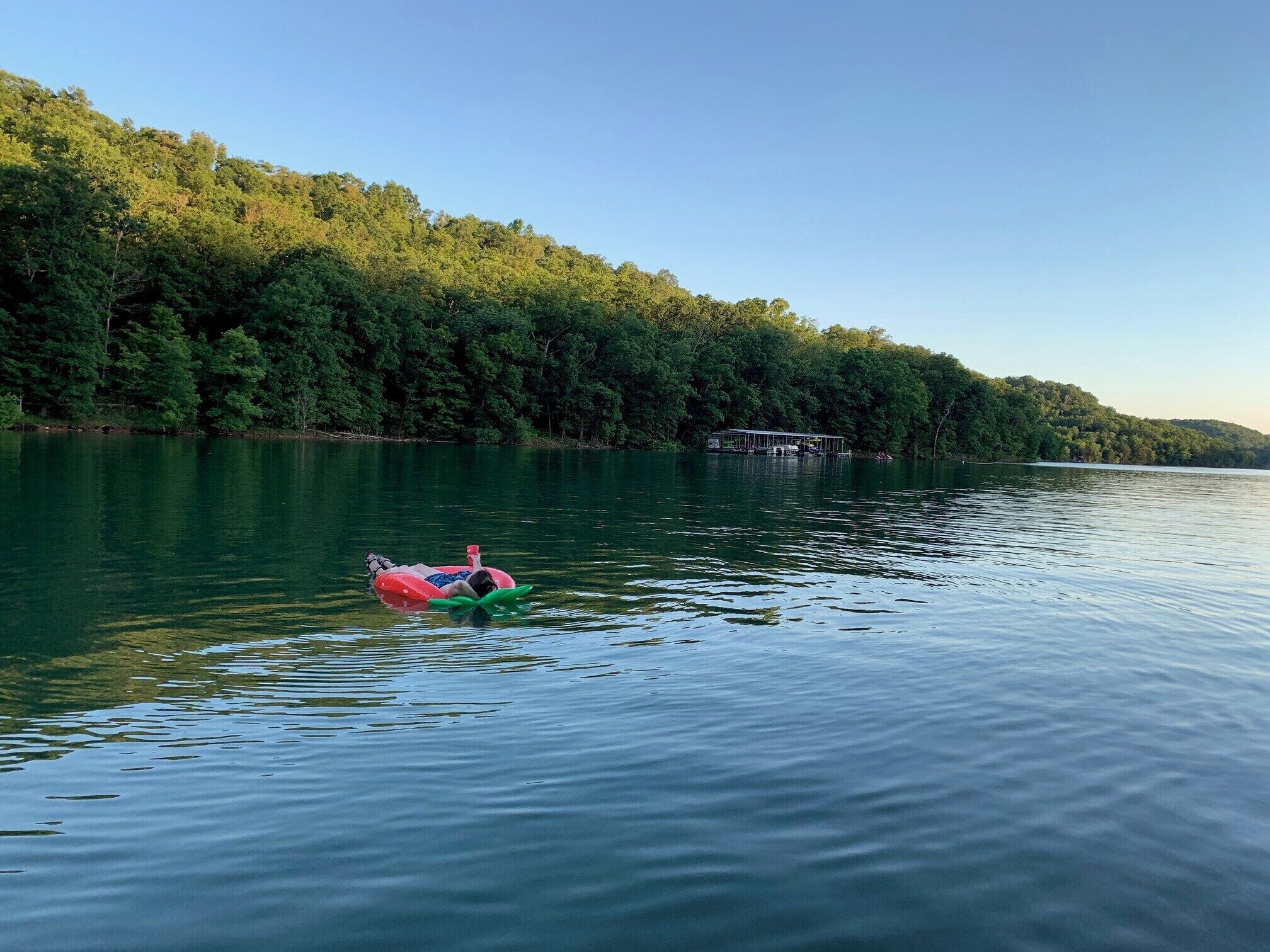 A person floating on a green inflatable raft in a calm lake with a forested shoreline.