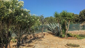 A stone pathway leading through a garden with various plants and a fenced area in the background. - Villa Le Cicale - Salento (Morciano di Leuca)