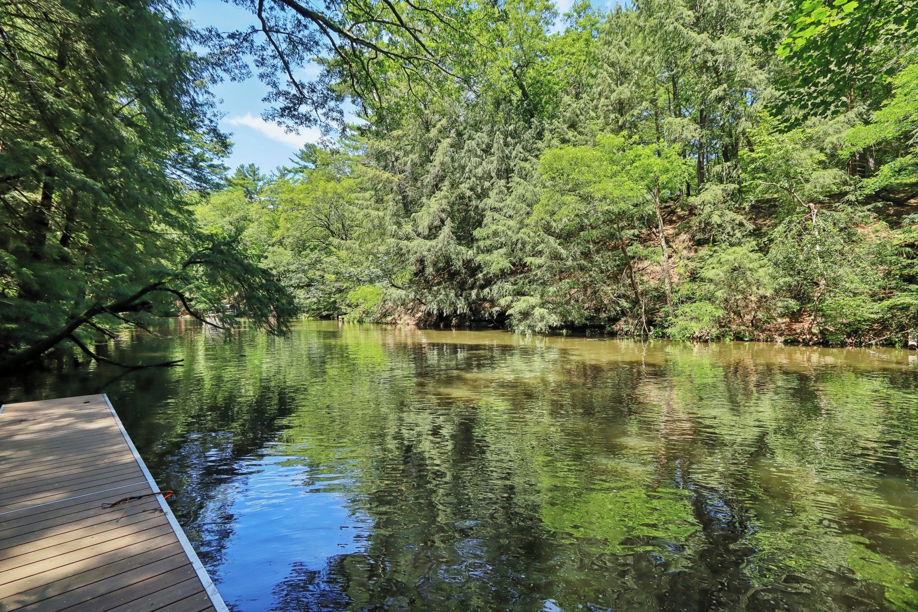 Een rustige rivier met een houten steiger die het water in reikt, omringd door weelderige groene beplanting.