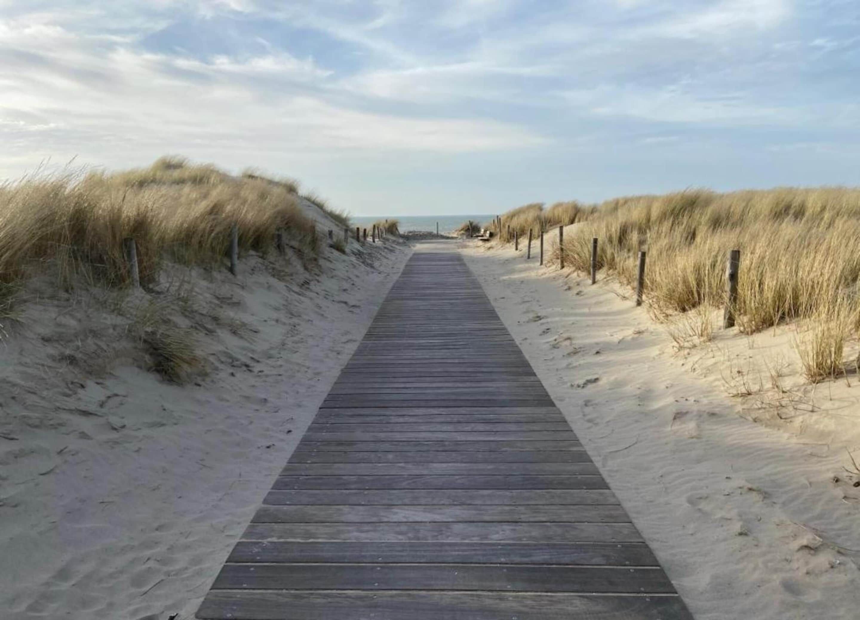 Een houten looppad dat door een zandgebied slingert, met duinen aan beide kanten.