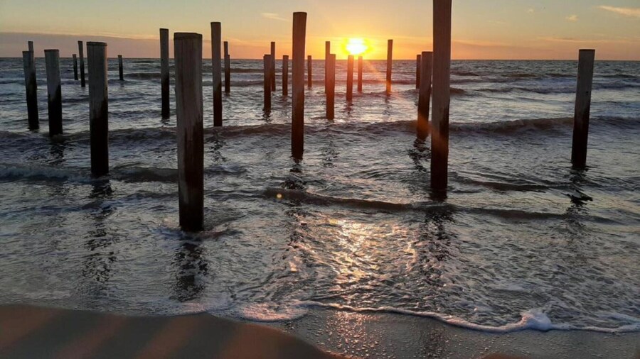 Apartment With Dunes View of Petten