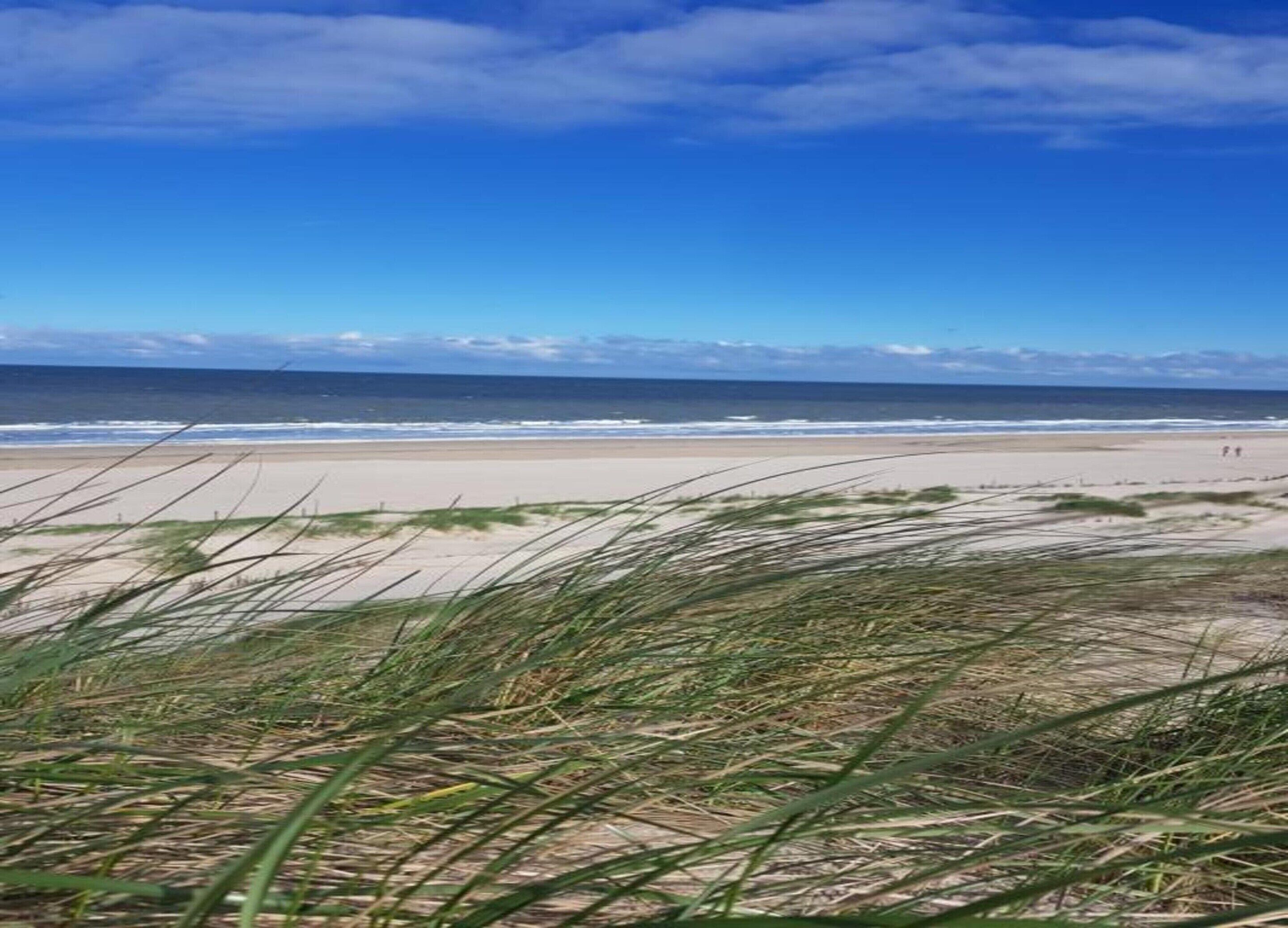 Una spiaggia con sabbia ed erba in primo piano, e l'oceano sullo sfondo.