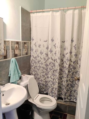 Ein Badezimmer mit Toilette, Waschbecken und Duschvorhang.