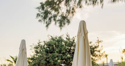 lilium rooms