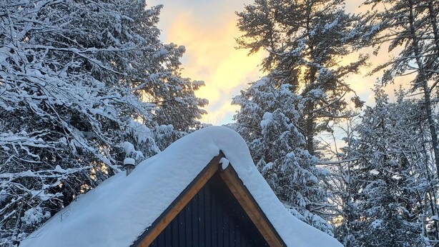 A wooden cabin with a snow-covered roof, surrounded by snow-laden trees. - Muskoka Cabin, Vacation home rental, Muskoka cottage, Bear Den Muskoka, cottage (Bracebridge)