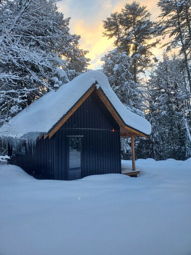 Muskoka Cabin, Vacation home rental, Muskoka cottage, Bear Den Muskoka, cottage