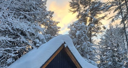 Muskoka Cabin, Vacation home rental, Muskoka cottage, Bear Den Muskoka, cottage