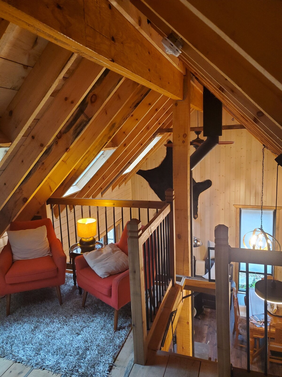 Image de profil de l’hôte