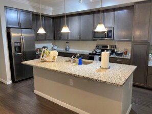 Fridge, microwave, oven, stovetop - Spring Cheerful Modern 2 king Longterm (Spring)