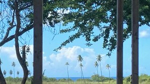 Vista a través de una ventana de metal con altas palmeras, cielo despejado y un horizonte lejano.