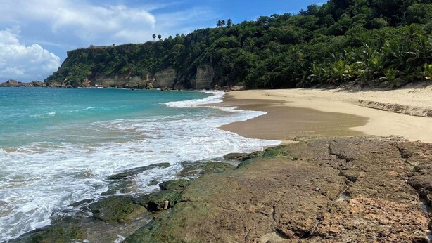 Una playa con aguas turquesas cristalinas, una orilla de arena y un acantilado cubierto de bosque.