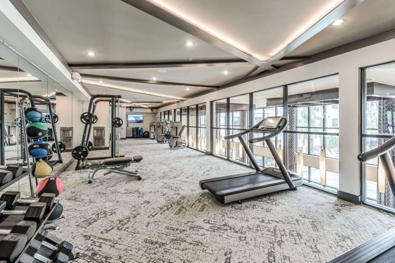 A spacious gym with treadmills, weight machines, and a variety of free weights.