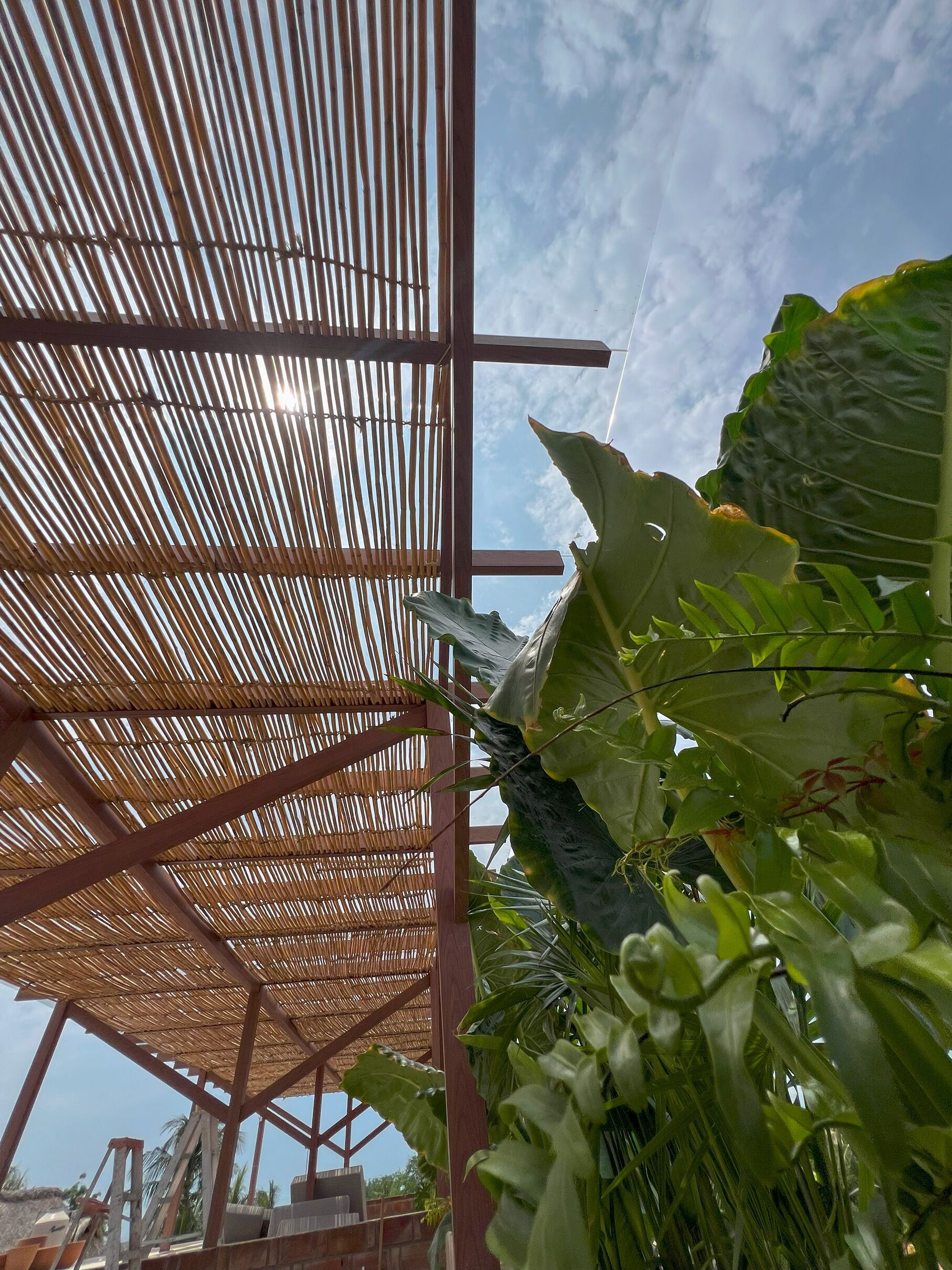 A structure with a bamboo roof and a large green leaf in the foreground.