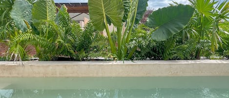 Piscine sur le toit