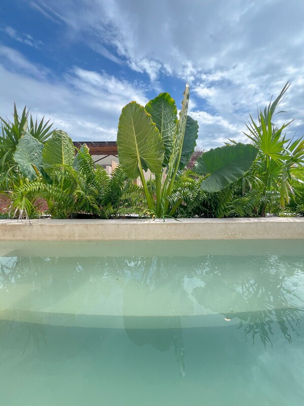 Piscina rodeada de plantas tropicales y cielo despejado.