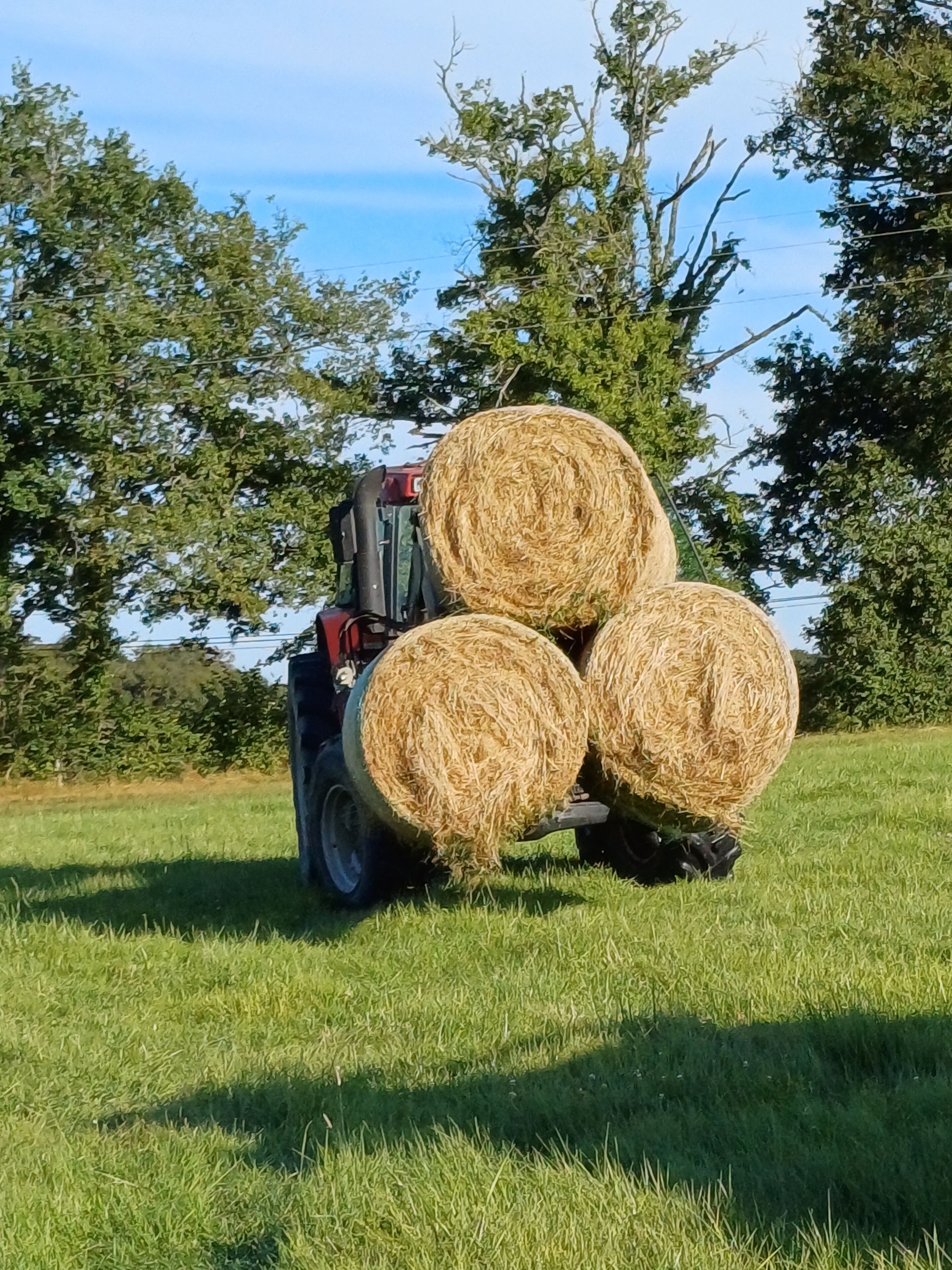 A tractor with three large hay bales on a grassy field.