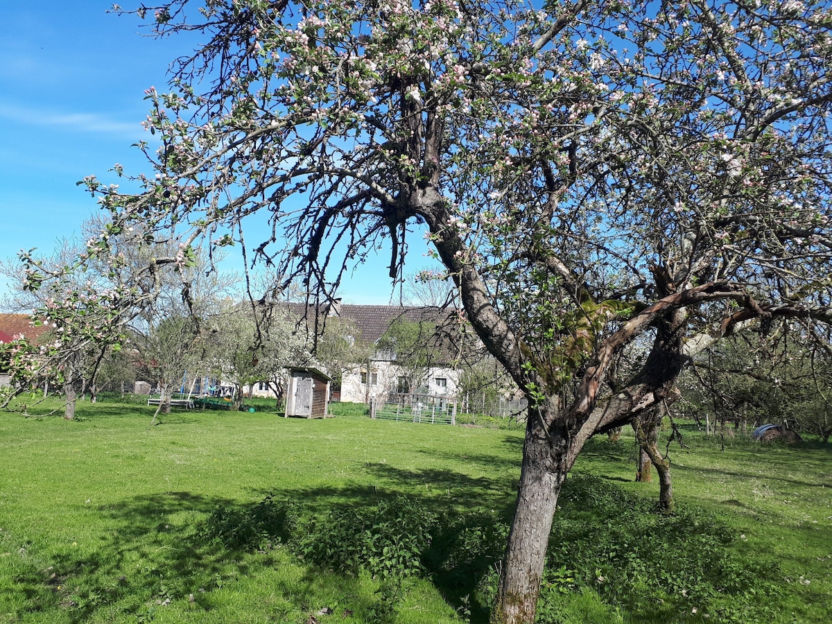 Image de profil de l’hôte