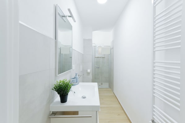 Shower, hair dryer, bidet, towels