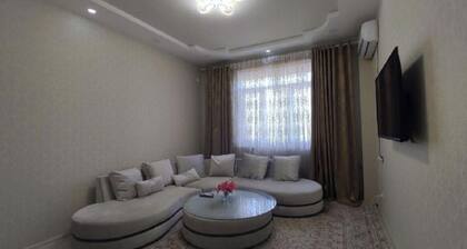 2-bedroom apartment in wonderful Dushanbe with AC, WiFi