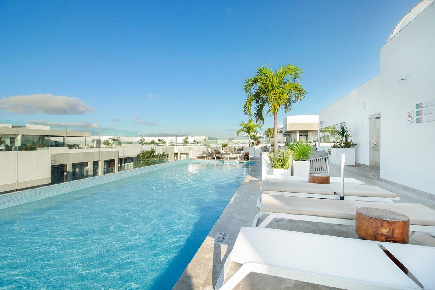 A rooftop swimming pool with lounge chairs and palm trees.
