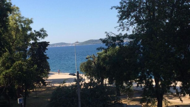 Une vue sur la côte, avec une plage de sable, des arbres et un ciel bleu dégagé.