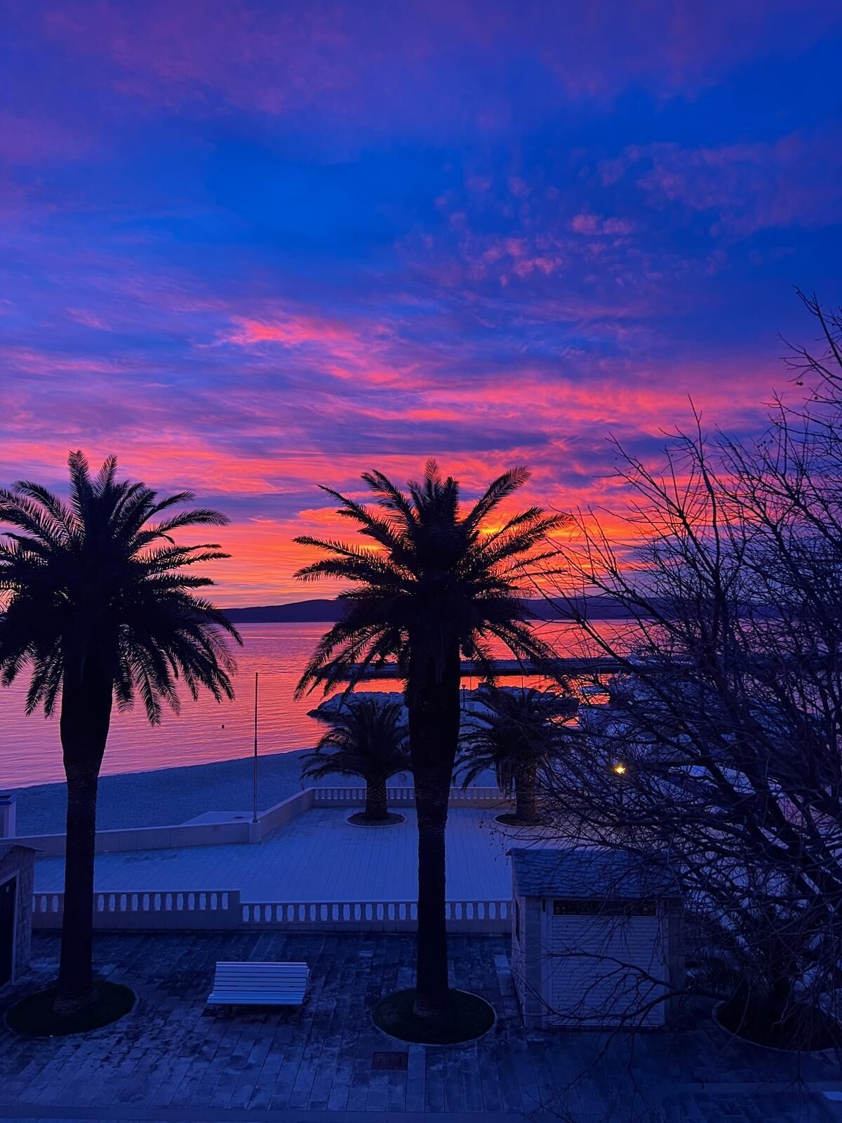 A sunset view with palm trees and a beach.